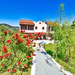 Anastasia's House